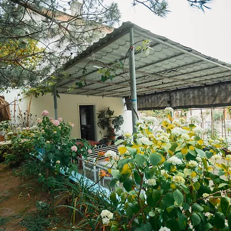 Near Llogara National Park Apartment