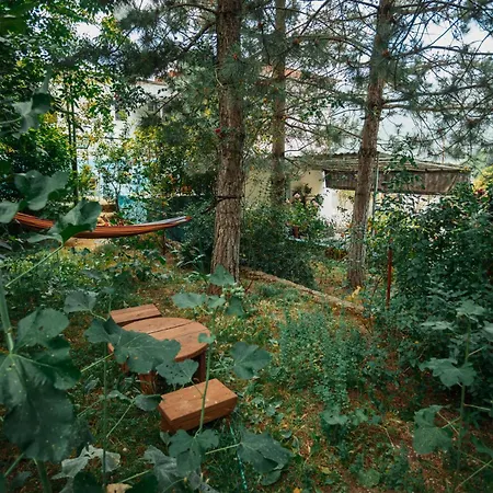 Apartment Near Llogara National Park Dukat